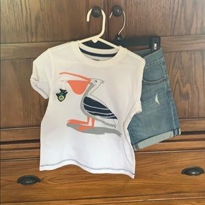 Toddler boy shirt and shorts set